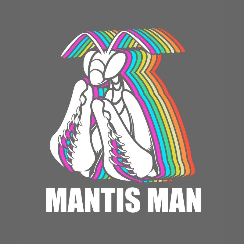 Gottesanbeter Gottesanbeterin Mantis