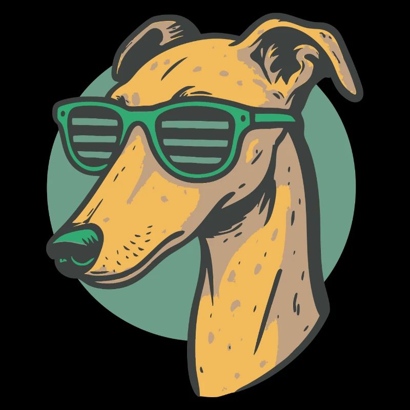 Windhund, Galgo
