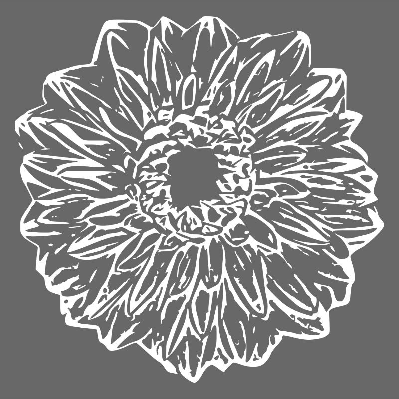 Fleur, Blanc, Fleur Blanche
