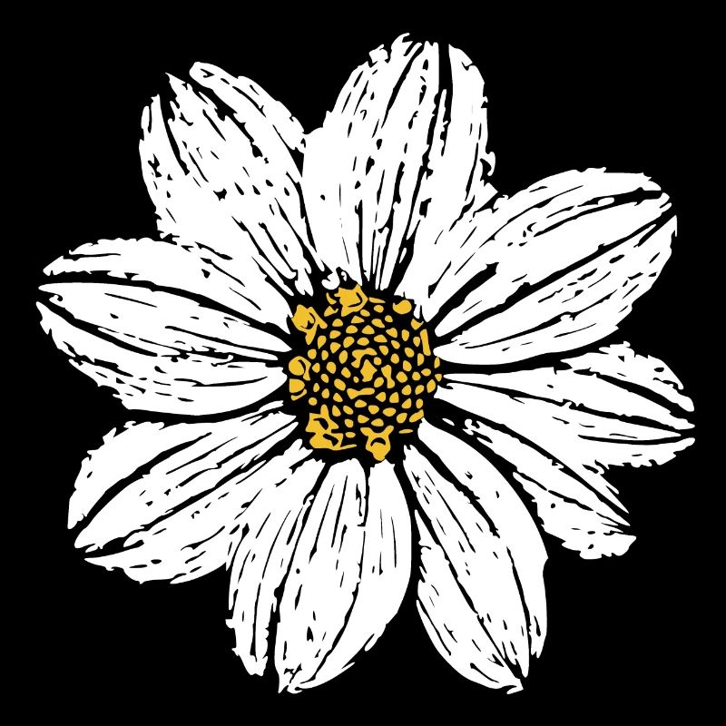 Fleur Fleurs Blanches Idées Cadeaux Noël