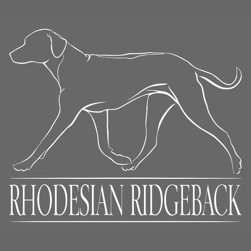 RHODESIAN RIDGEBACK Löwenhund Hunde Hund Wilsigns