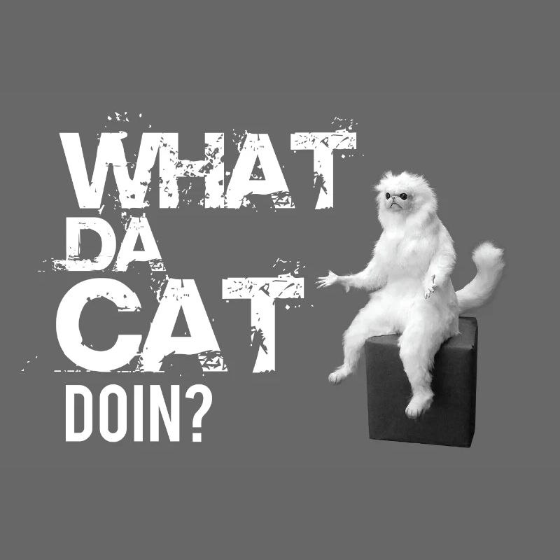 What da Cat Doing, design de chat amusant