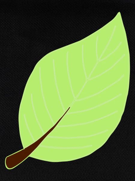 leaf