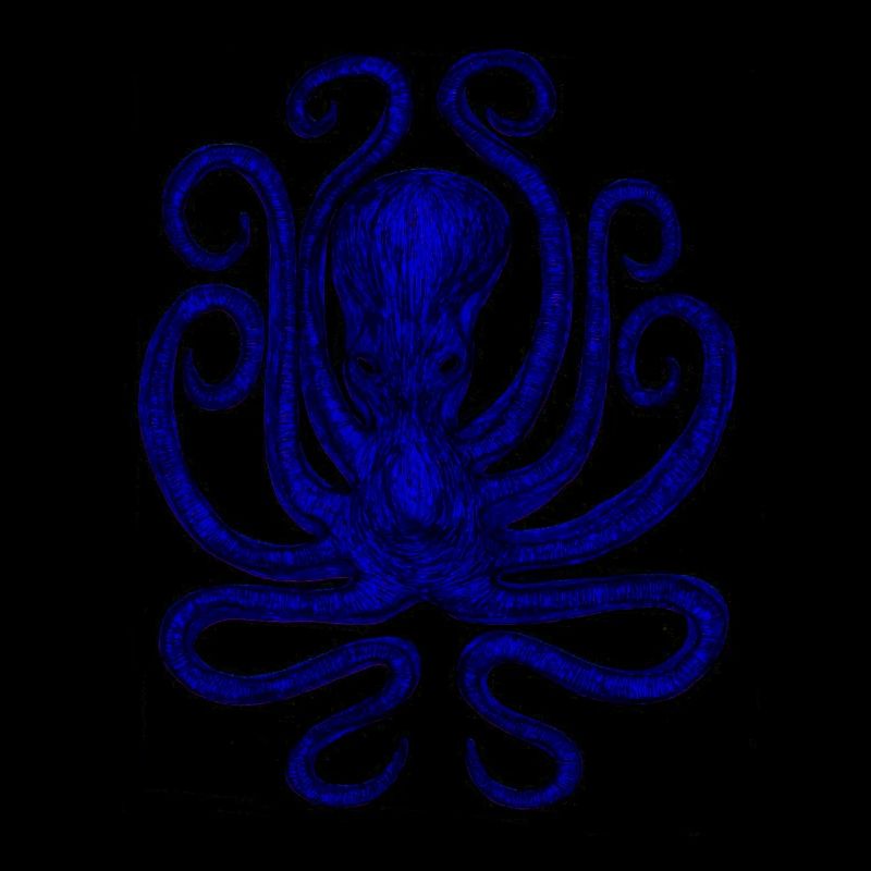 Squid - Octopus