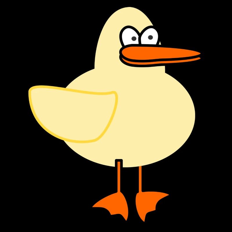 canard