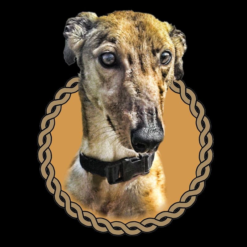 Greyhound 001