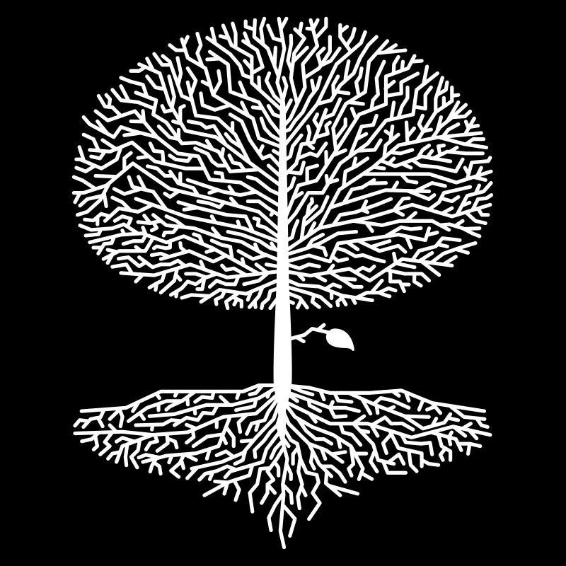 Laubbaum Krone Wald Eiche Buche Natur Linde Äste