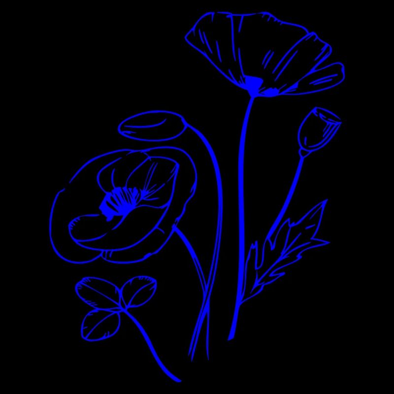 Coquelicot, Fleurs