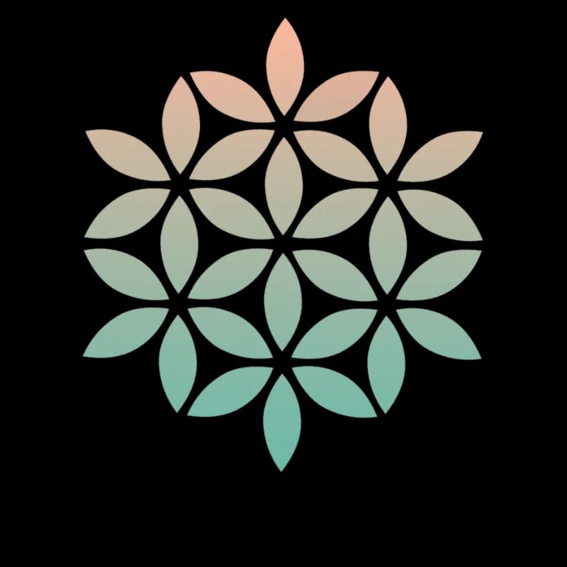 Logo Niyama