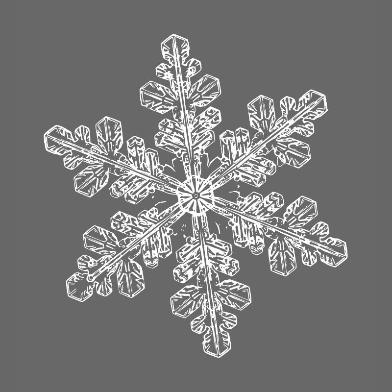 snowflake 6 white