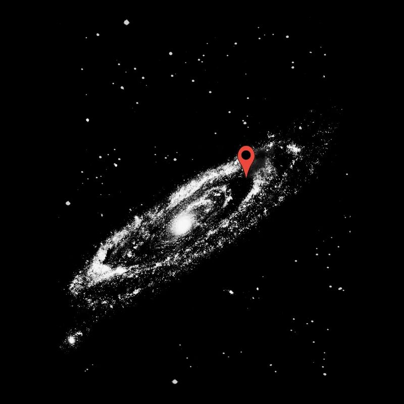 You are here