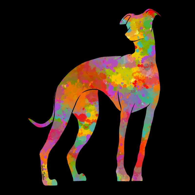 Whippet Multicolore 2