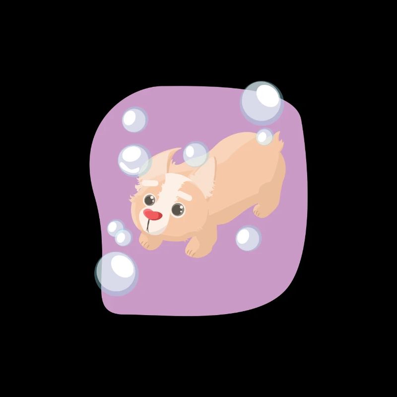 Soap bubbles dog