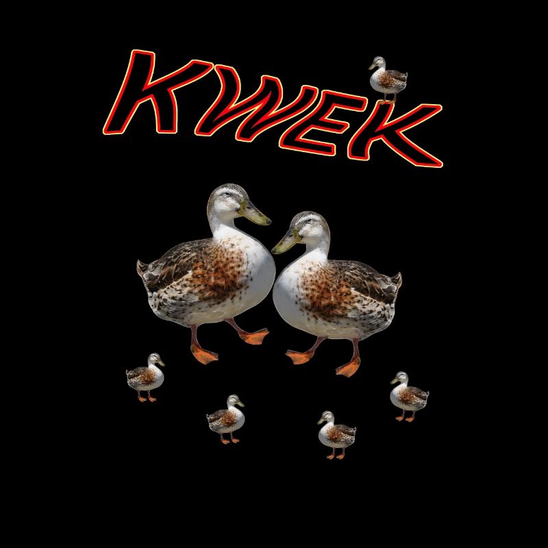 Canard Canard