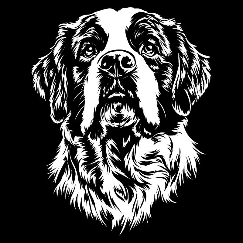 Bernhardiner Portrait Hunde Hund
