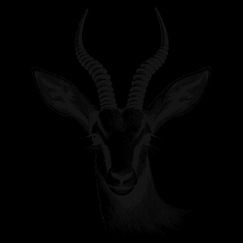 Antelope