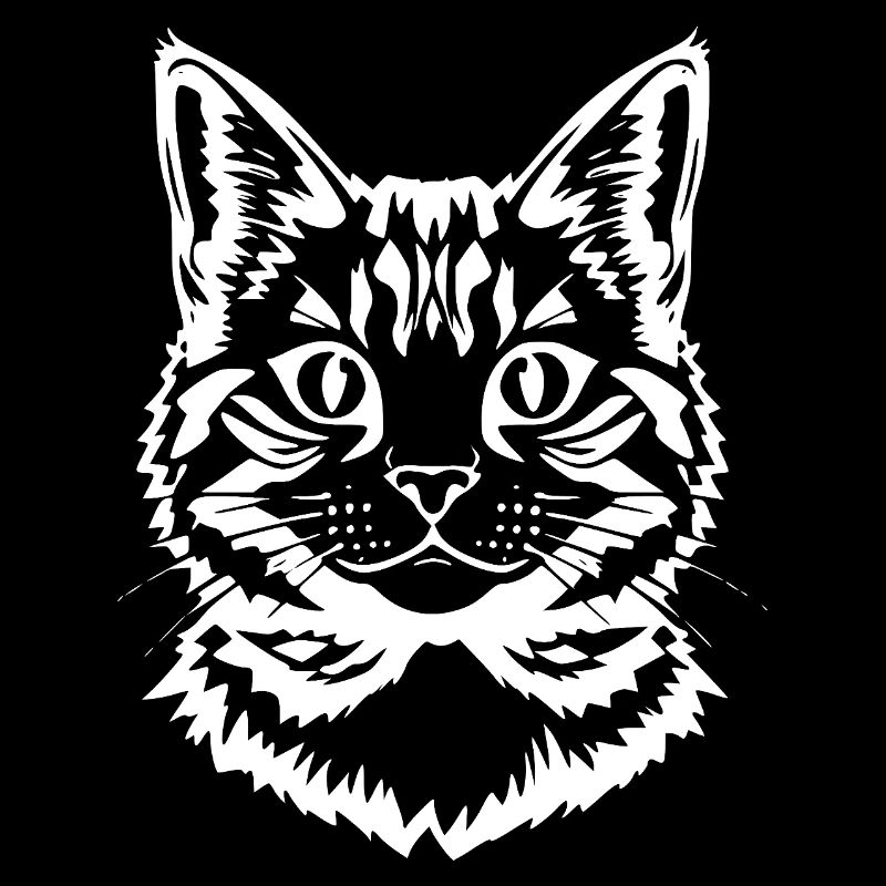 Chat blanc tête chaton tigre chat cadeau