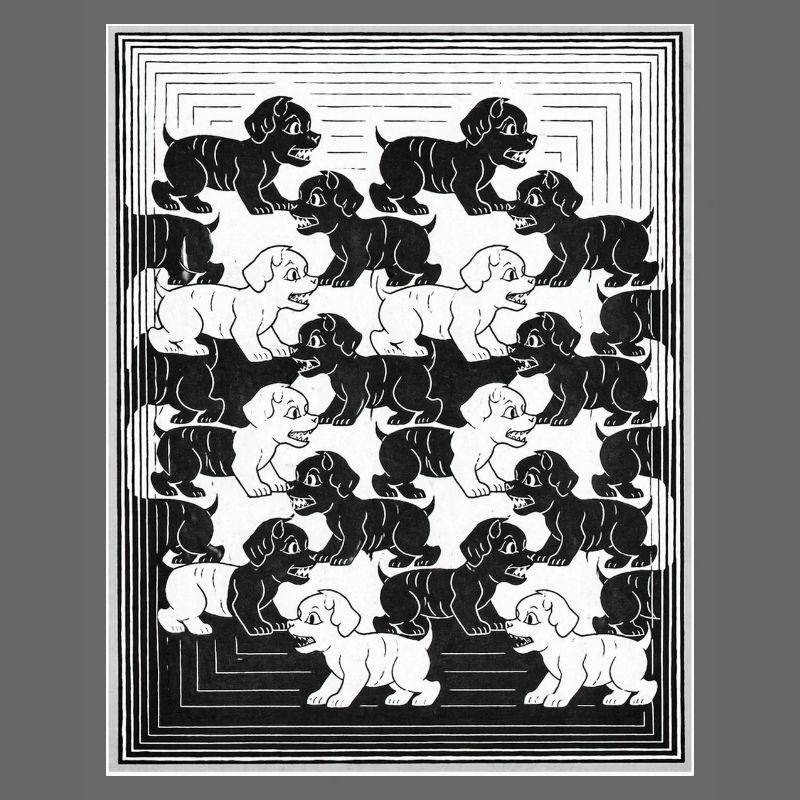 Dackelwelpen im monochromen Muster