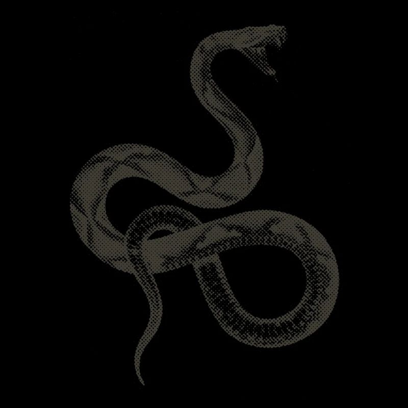 Schlange / Snake