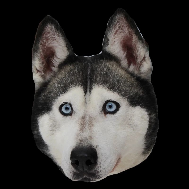 Husky sibérien