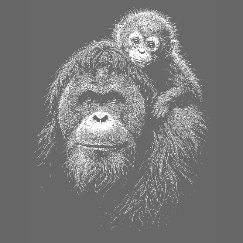 Orangutan Mutter mit Jungem Silhouette