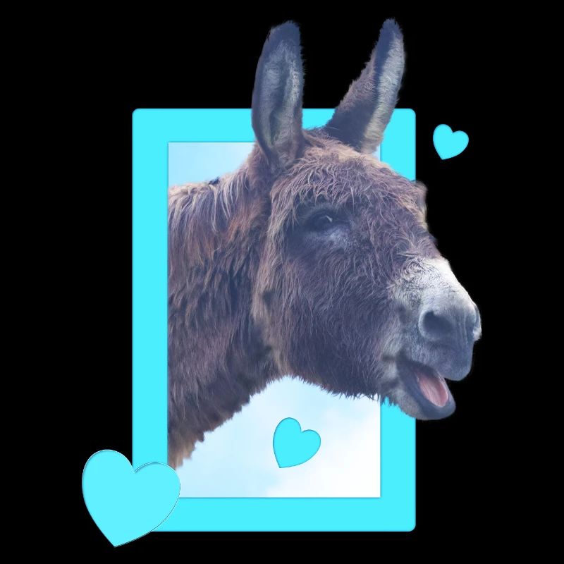 Un âne mignon à la fenêtre, cœurs bleus