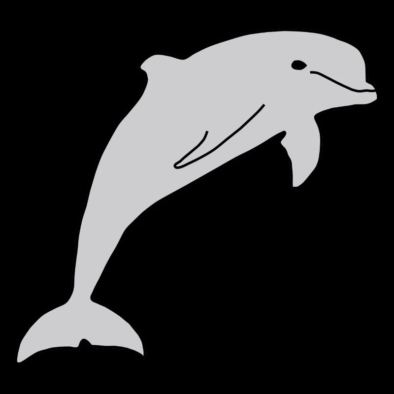 Dolphin