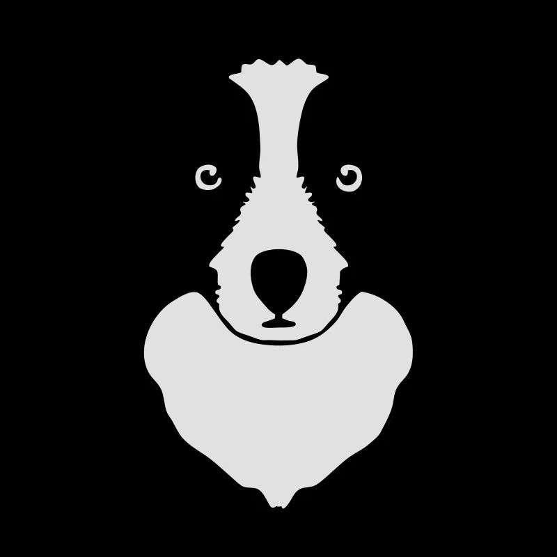 border collie schäferhund kopfzeichnung hund