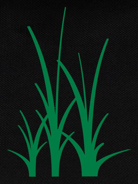 Binary Gras