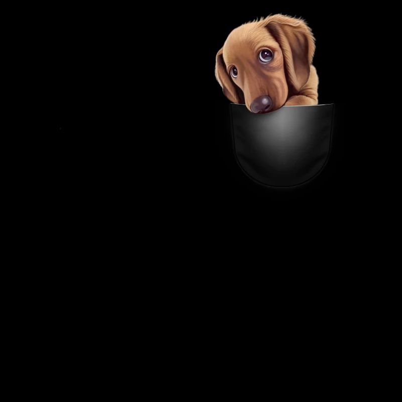 pocket DOG2