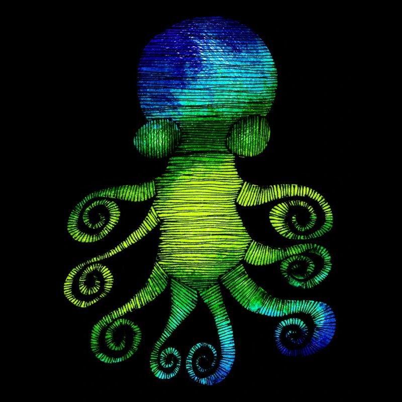 Squid