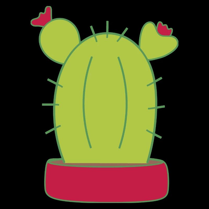 Cactus, cactus, plantes succulentes, plantes