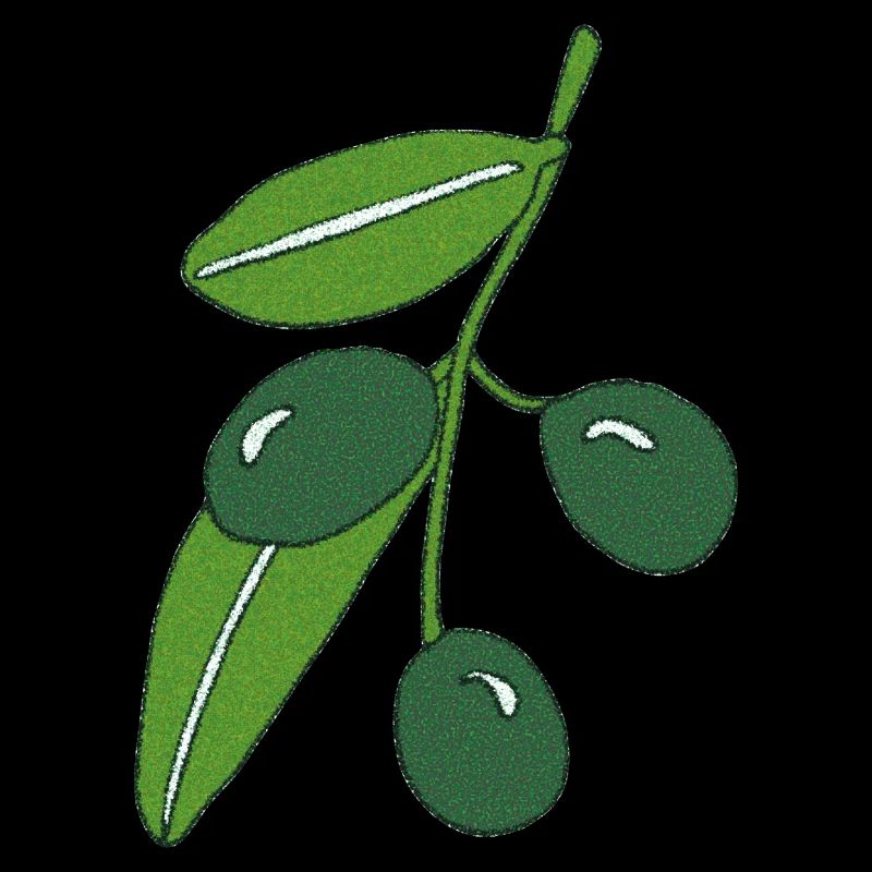 olive branch