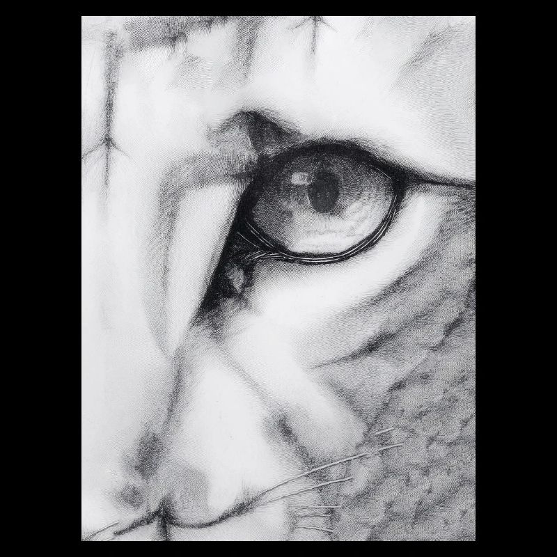 Feline