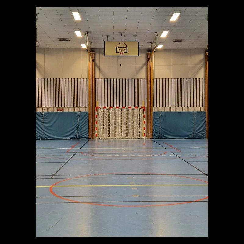 Les lignées de Gymhallen