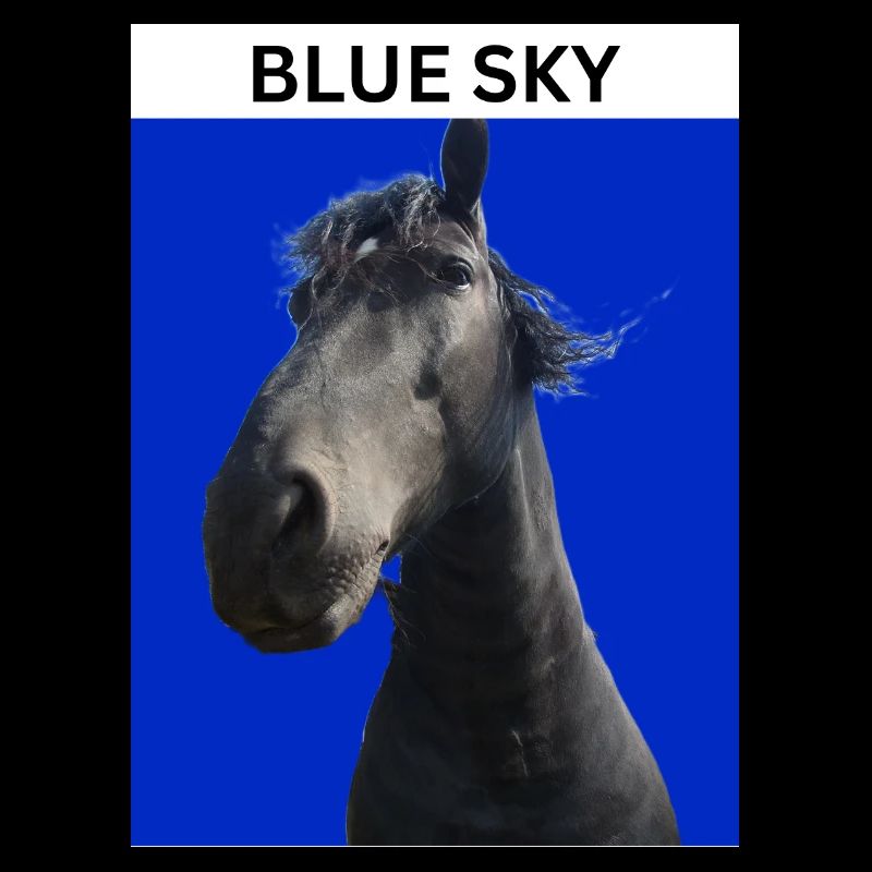 Blauer Himmel und Pferd