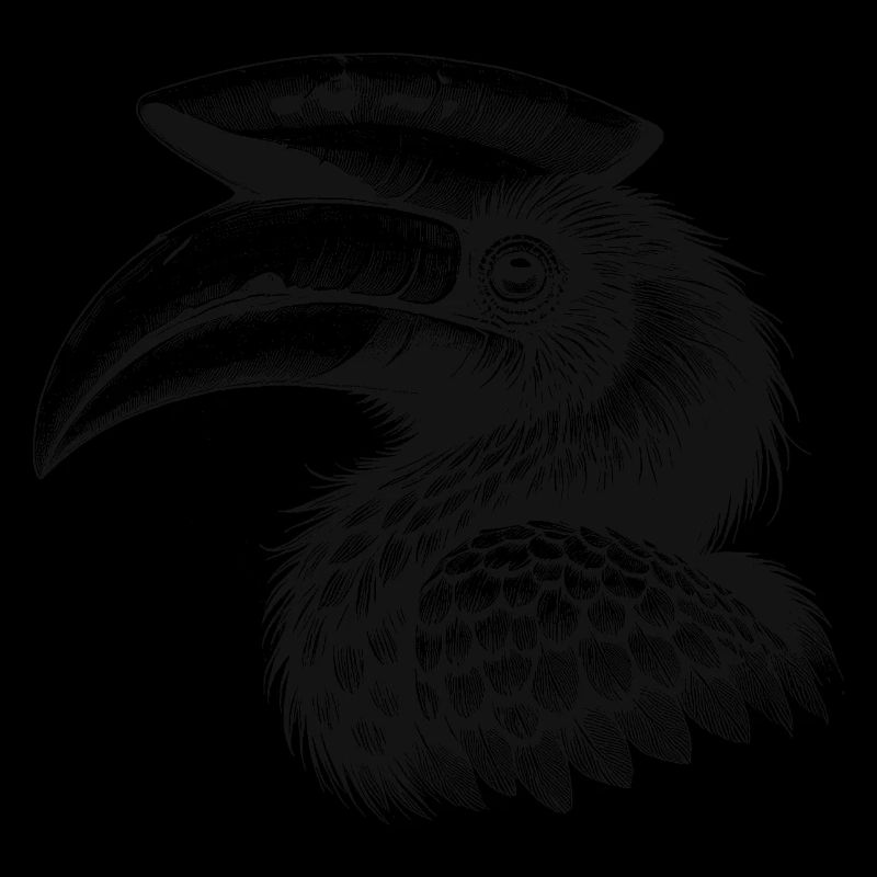 Calaos