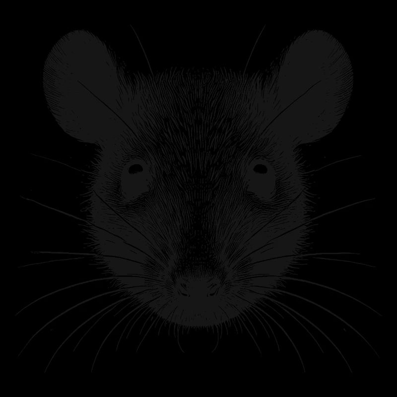 Ratte