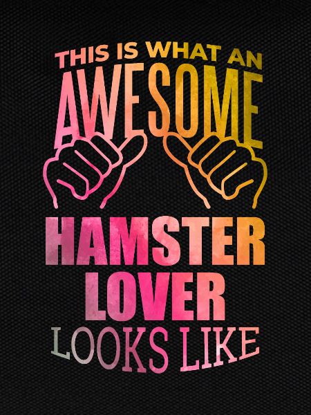 Hamster-Hamster-Hamster