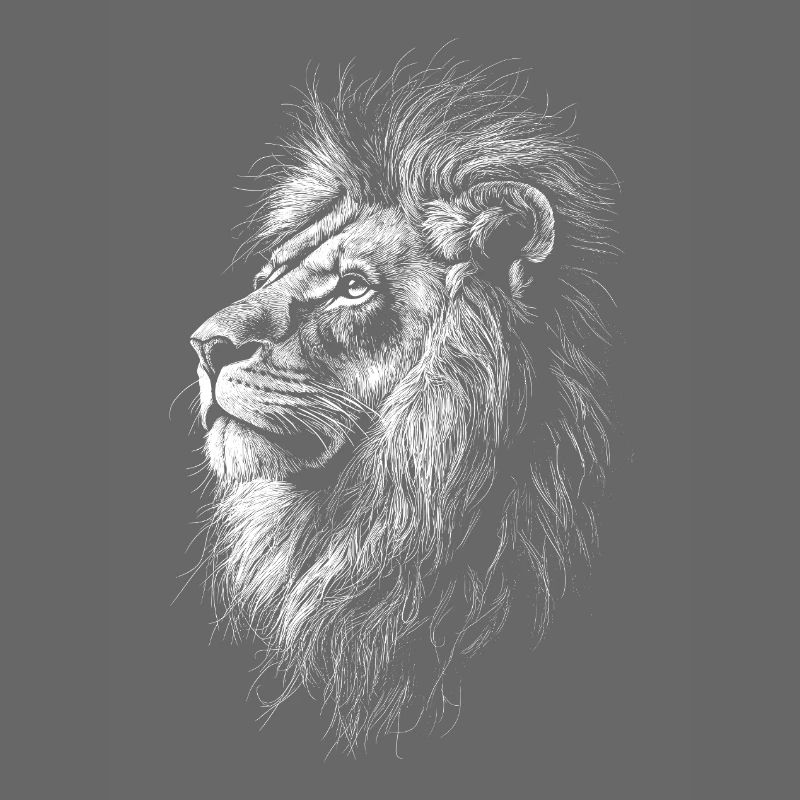 Lion Silhouette Drawing
