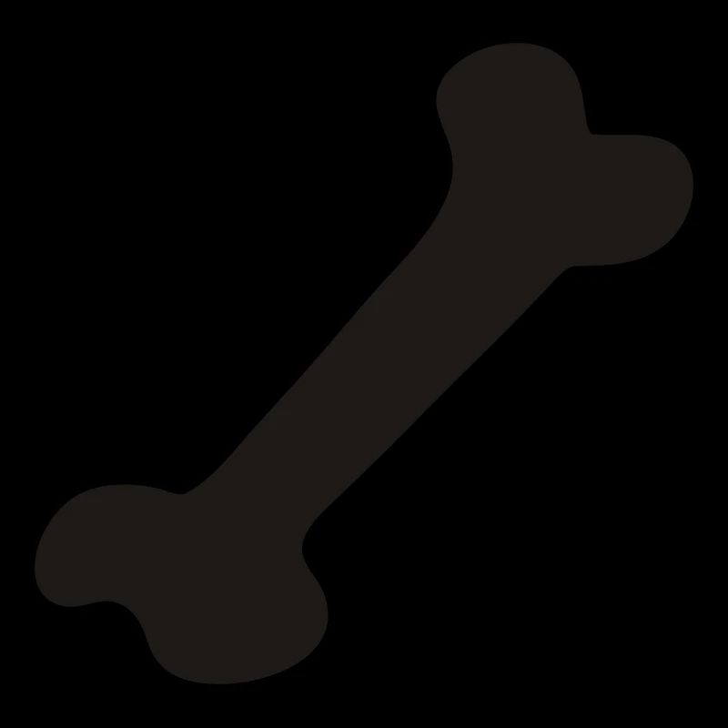 Knochen - Bone
