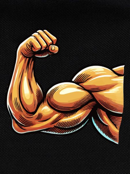 biceps