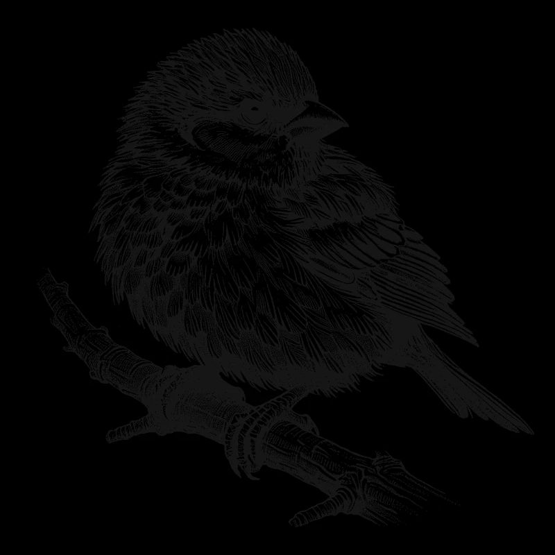 Spatz