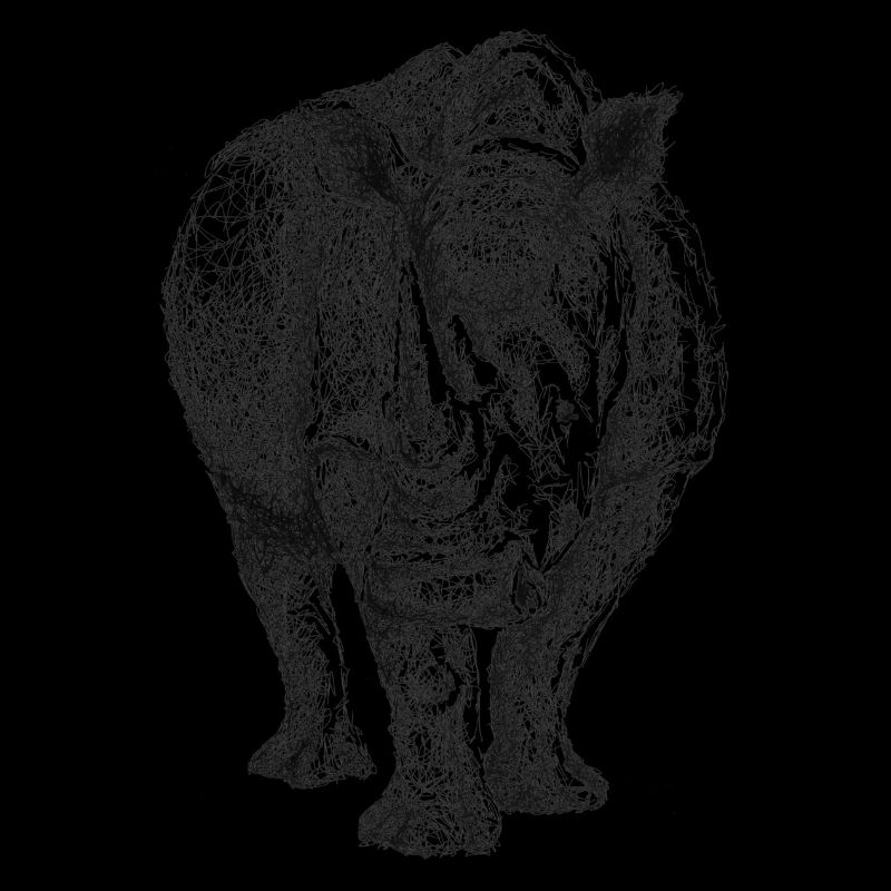 Scribbled Rhino