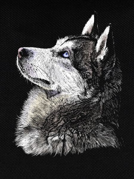 Husky