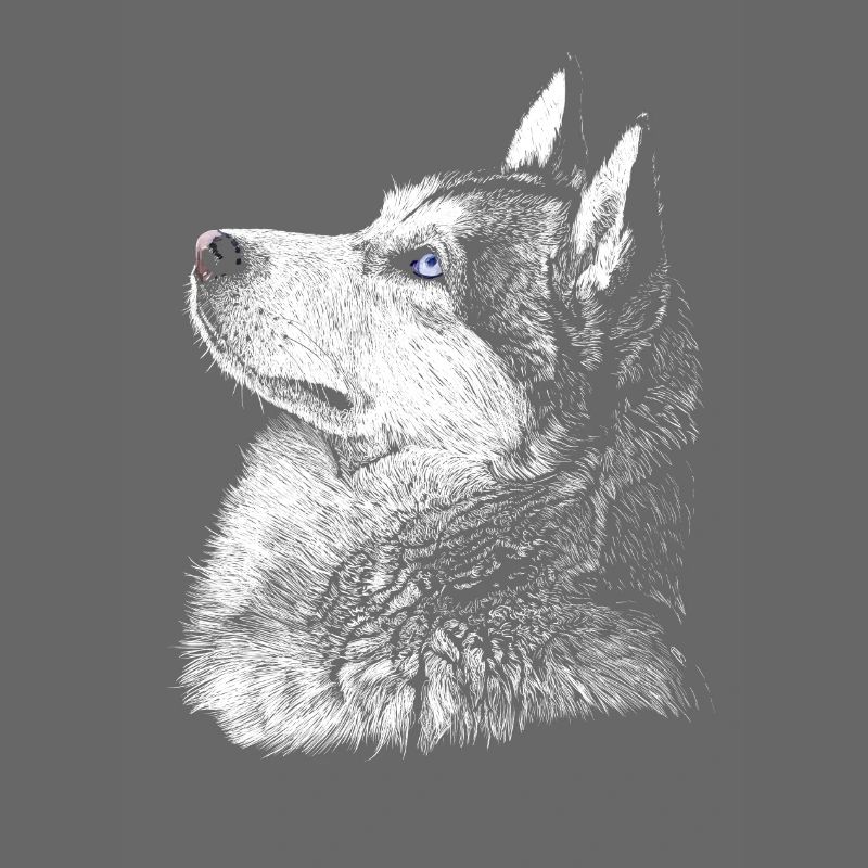 Husky