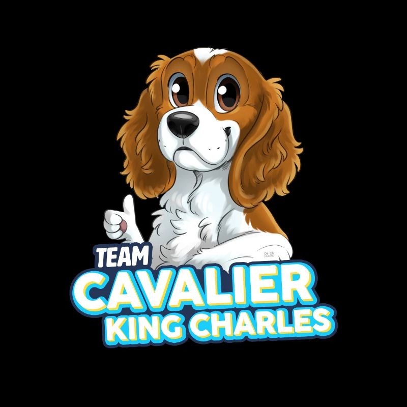TEAM Cavalier King Charles - Blanc et Feu