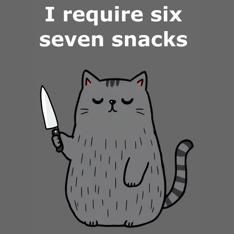 6-7 Internet Meme 6 7 Snack Katze