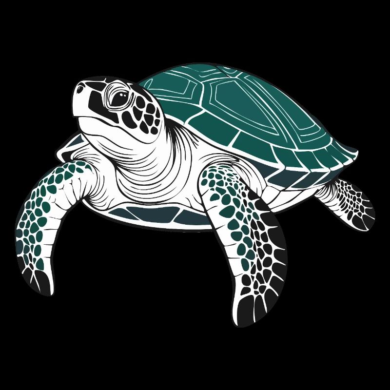Tortue