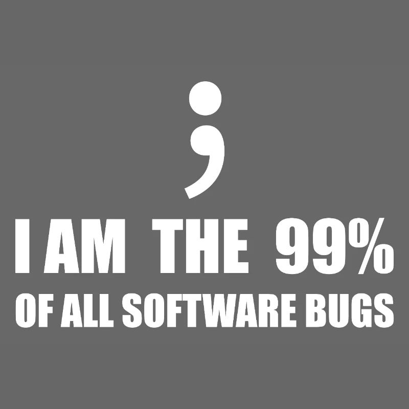 Informatiker, Programmierer